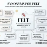 Synonyms for Felt