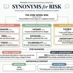 Synonyms for Risk